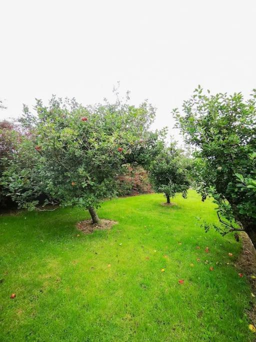 Orchard Cottage Дингл Экстерьер фото